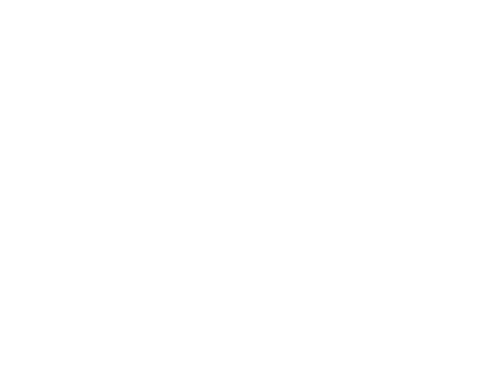 Albino Identidad Visual